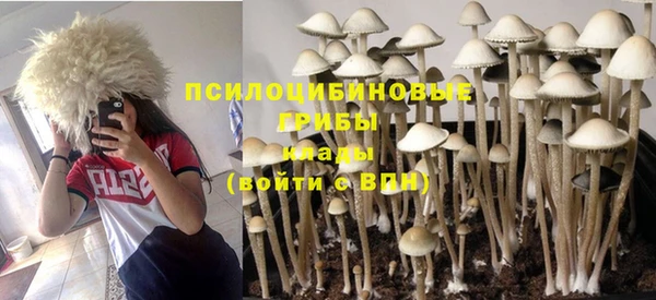 стаф Володарск